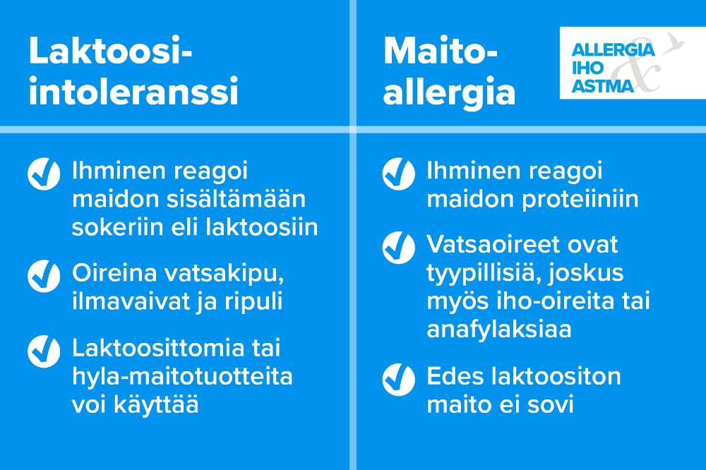 Maitoallergia ei ole sama asia kuin laktoosi-intoleranssi. Maitoallergiassa ihminen reagoi maidon proteiiniin, laktoosi-intoleranssissa maitosokeriin eli laktoosiin. Maitoallerginen ei voi syödä edes laktoosittomia maitotuoteita, mutta allergia paranee usein kouluikään mennessä.