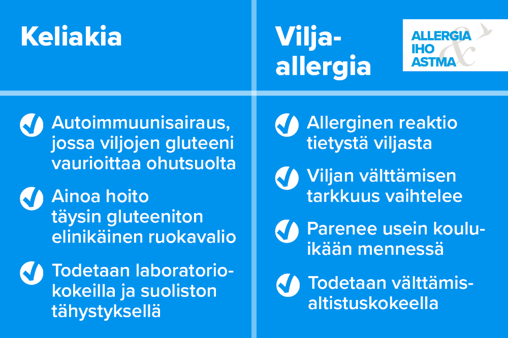 Keliakia on autoimmuunisairaus, jonka ainoa hoito on elinikäinen gluteeniton ruokavalio. Vilja-allergiassa ihminen reagoi tiettyyn viljalajiin, ja se paranee usein kouluikään mennessä.