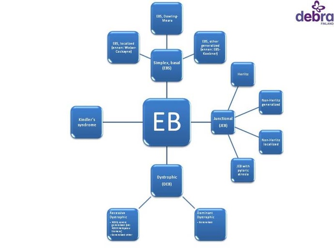 EB:n päämuodot ja yleisimmät alamuodot