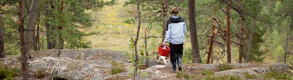 Astmaa, allergiaa ja/tai atooppista ihottumaa sairastavat työikäiset 11.–15.11.2019