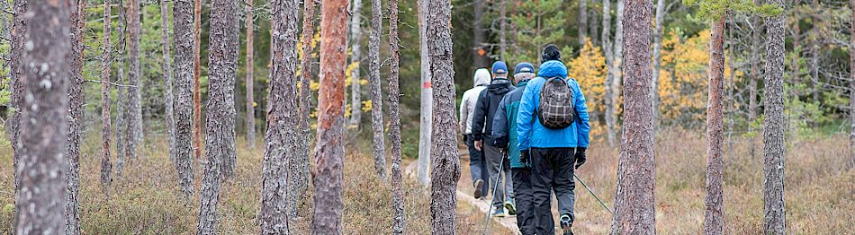 Vinkkejä liikuntatapahtuman järjestämiseen