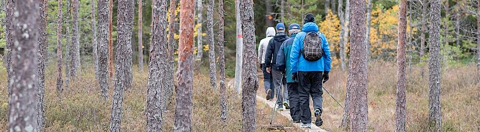 Liikkumisen iloa (astmaatikot)